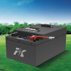 Golf Cart Lithium LiFePO4 Battery 51.2V 60Ah 100Ah 150Ah
