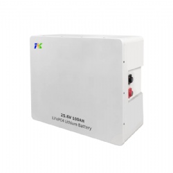 Wall-mounted 25.6V 100Ah 2.56kWh Residential Energy Storage System Lithium iron Phosphate Battery LiFePO4