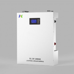Wall-mounted 51.2V 100Ah 5KWh Residential Energy Storage System Lithium iron Phosphate Battery LiFePO4