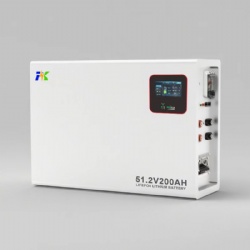 Wall-mounted 51.2V 200Ah 10KWh Residential Energy Storage System Lithium iron Phosphate Battery LiFePO4